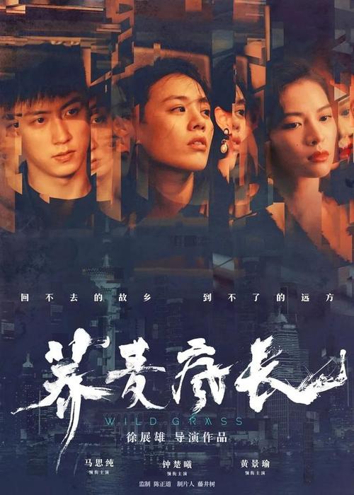 高中毕业证一定要蓝底吗